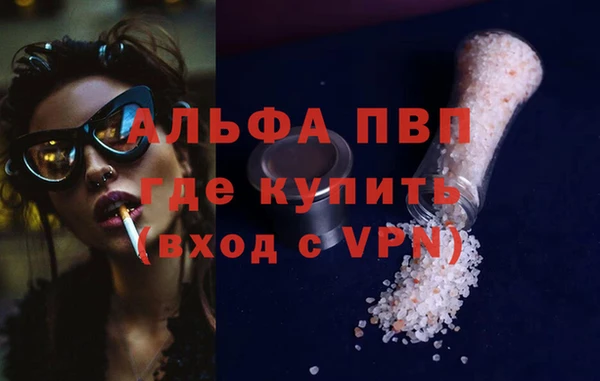 стафф Арсеньев