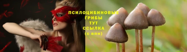 мяу мяу кристалл Верея