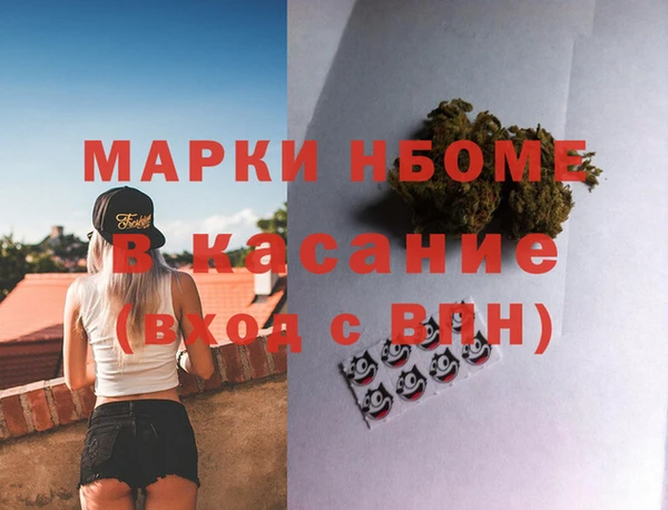 стафф Арсеньев