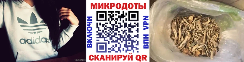 Псилоцибиновые грибы GOLDEN TEACHER  купить наркоту  Сунжа 