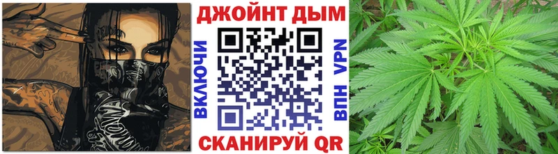 наркошоп  Сунжа  Марихуана сатива 
